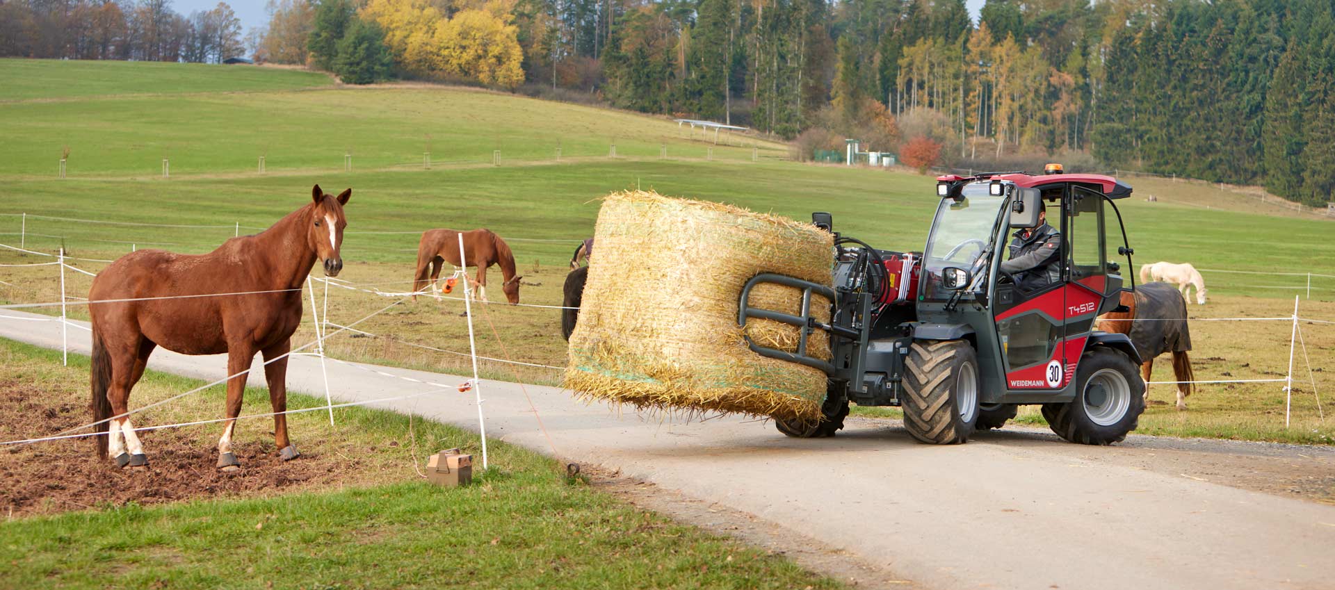 Weidemann T4512